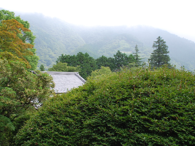 箱根宮ノ下の富士屋ホテル(日本のクラシックホテル探訪)その3_f0142606_14484978.jpg