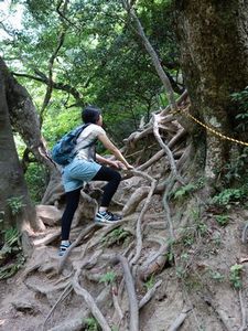 三徳山三佛寺「投入堂」_b0131012_20145157.jpg