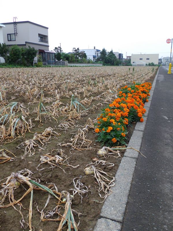 降ったり止んだり_c0025115_22114782.jpg