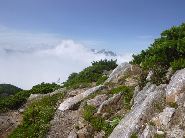 立山雄山　五色ｹ原　薬師岳　縦走する　　五色ｹ原 ～ スゴ乗越小屋　編_d0170615_6273068.jpg