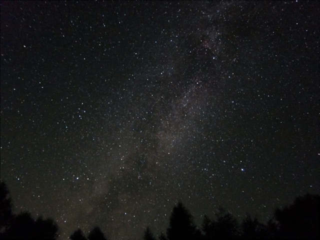 b0167343_28368.jpg