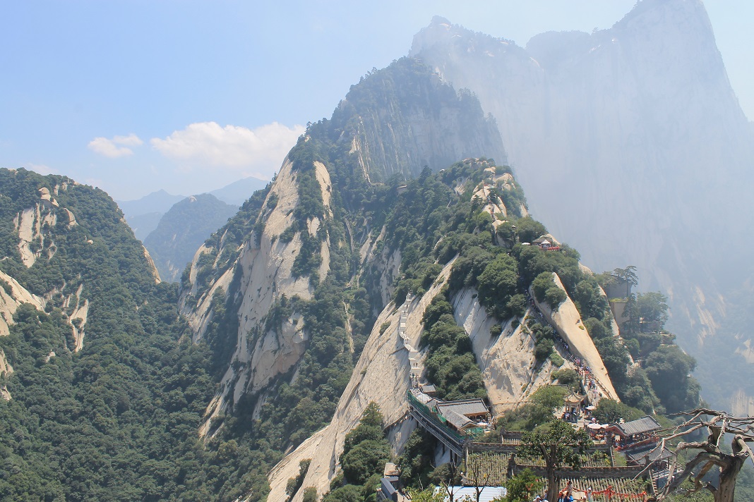 f0070743_2350519.jpg