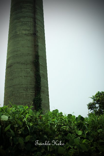 f0158043_18503177.jpg