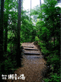 a0224746_15144261.gif