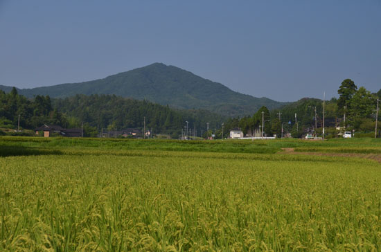 c0093046_16182375.jpg