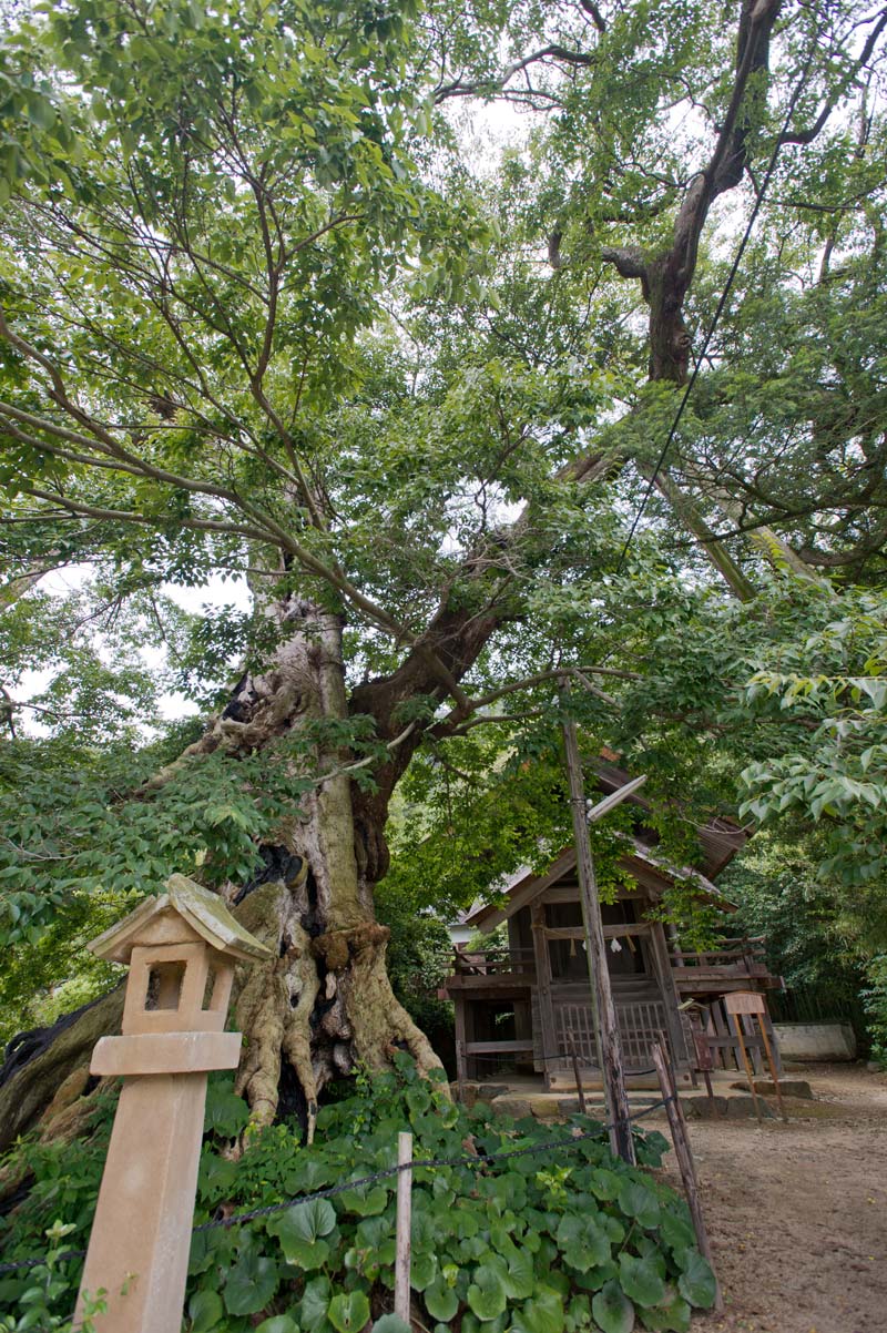 神魂伊能知奴志神社　命主社　島根県出雲市_b0023047_640367.jpg