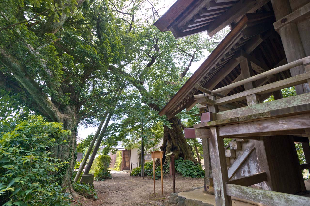 神魂伊能知奴志神社　命主社　島根県出雲市_b0023047_6415128.jpg