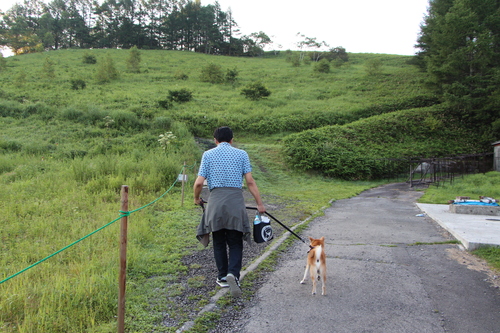 f0245650_8345176.jpg