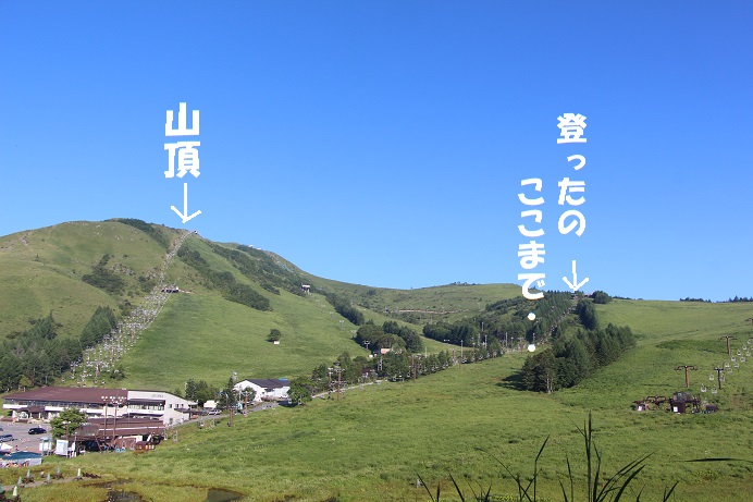 f0245650_8492944.jpg