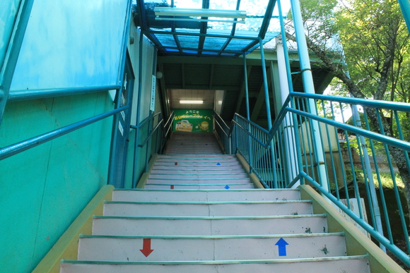 e0316056_211343.jpg