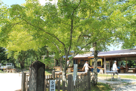 e0316056_2174598.jpg