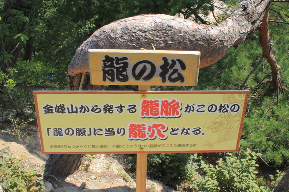 e0316056_2265222.jpg