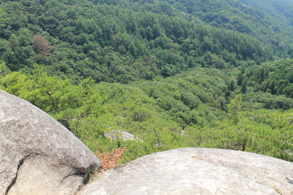 e0316056_230190.jpg
