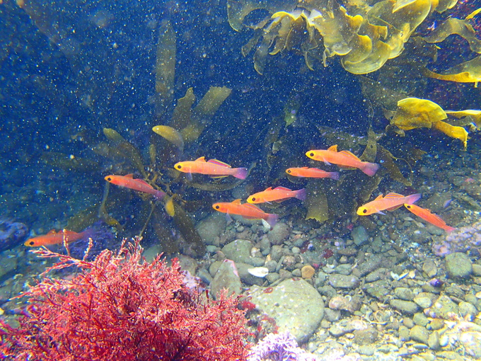 三浦2013①_b0287468_1292846.jpg