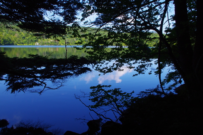 北八ヶ岳の森で避暑山行_e0292469_16454484.jpg