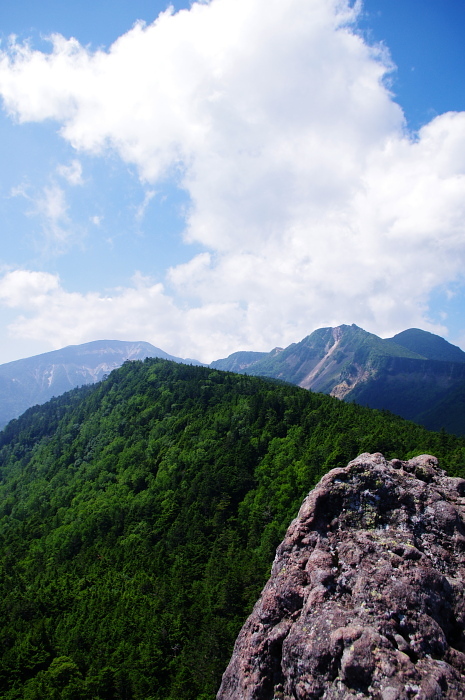 北八ヶ岳の森で避暑山行_e0292469_1645665.jpg