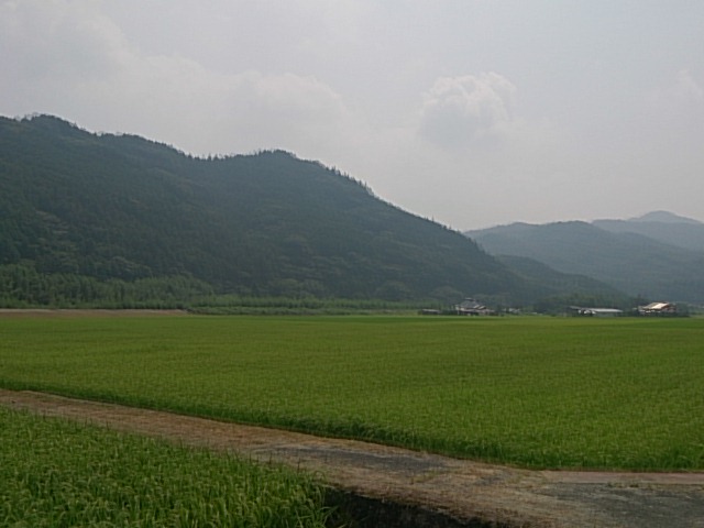 f0206785_65241.jpg