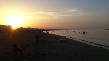 TARTARUGHE DI SABBIA_e0170101_1135039.jpg