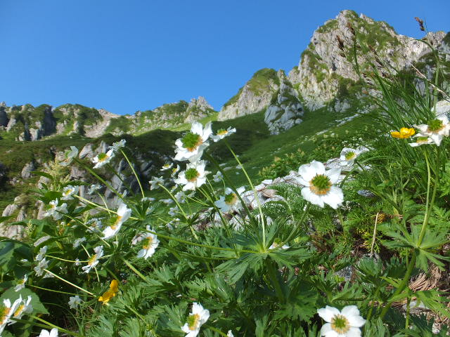 木曽駒ケ岳　　２０１３年８月_a0271502_15473482.jpg