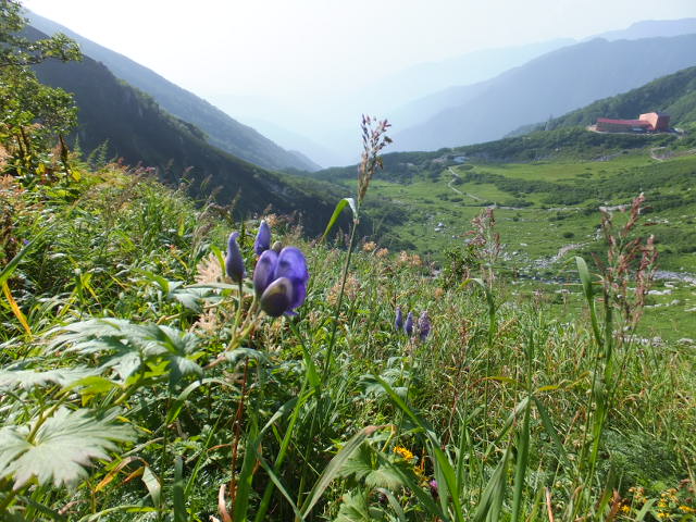 a0271502_15545856.jpg