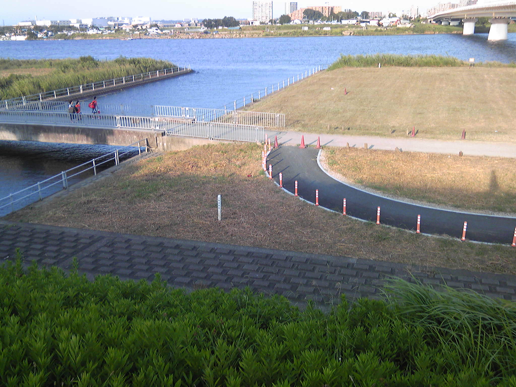 b0285619_74082.jpg