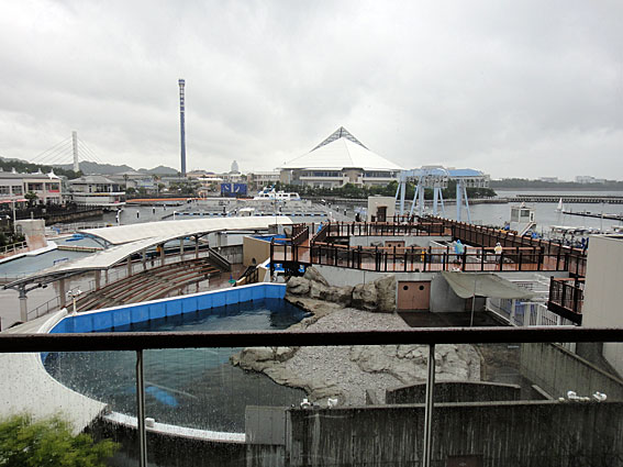 ６月１５ １６日 八景島シーパラダイス 釣り好き匡蔵の写真日記