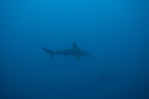 f0206424_8422947.jpg