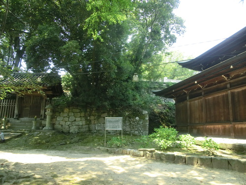 a0243325_11491587.jpg