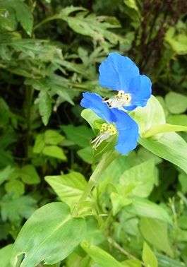 c0204725_10261920.jpg