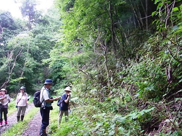 c0204725_10582242.jpg