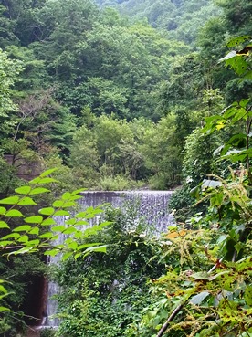 c0204725_10585182.jpg