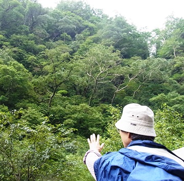 c0204725_114365.jpg