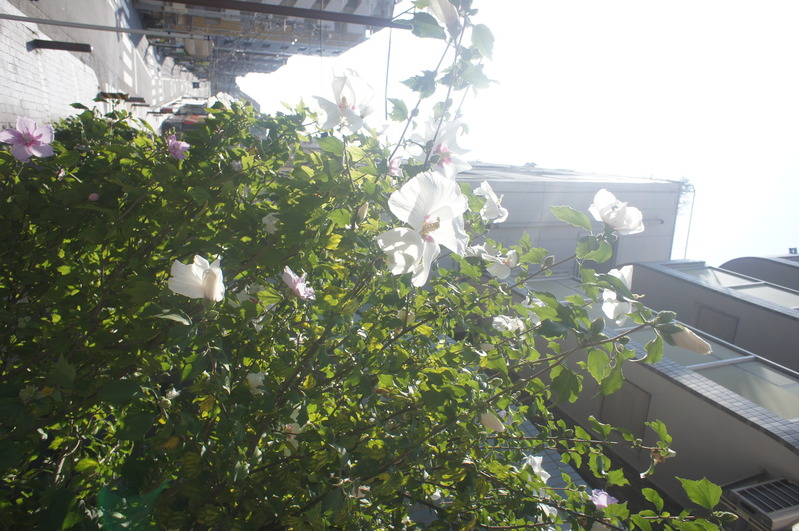 a0217029_953505.jpg