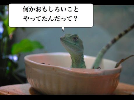 f0266029_1058466.png
