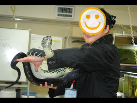 f0266029_1120596.png