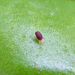 f0108133_14242057.jpg