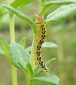 f0108133_15261035.jpg