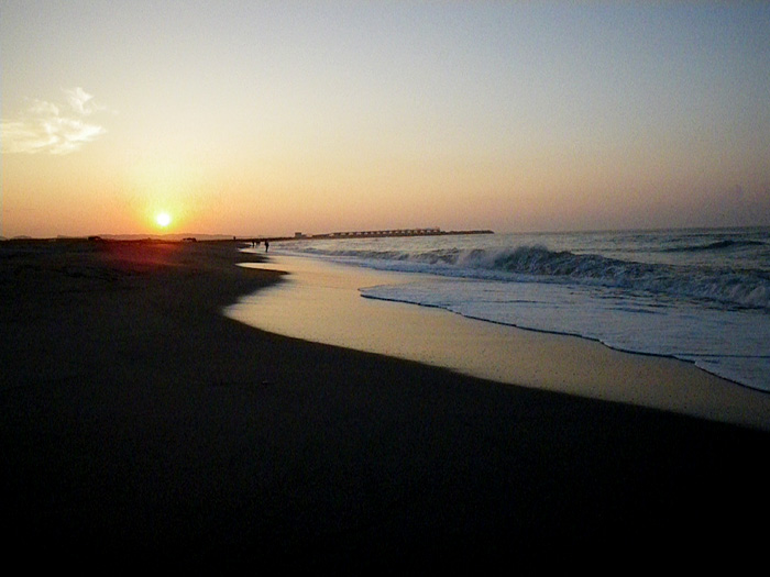 フラットフィッシュ_c0120834_13162513.jpg
