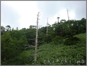 c0267235_22403857.jpg