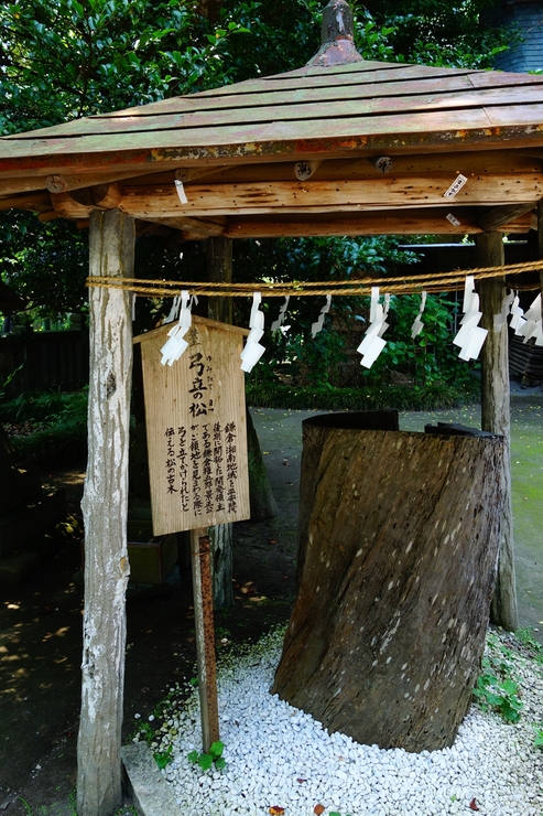 鎌倉 御霊神社～健康になる。だから鎌倉 その7_a0287336_12313382.jpg