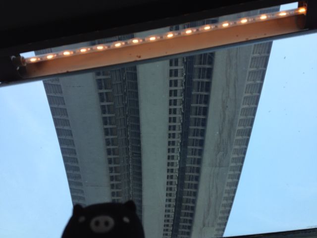 f0029541_8312269.jpg