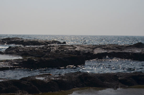 c0093046_715982.jpg