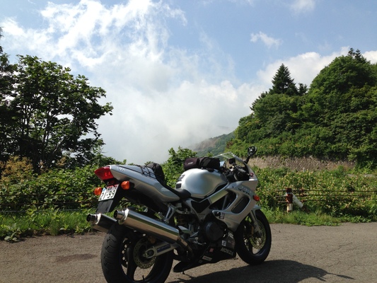 夏真っ盛り カツラ祭りで夏バテ解消_c0261447_22282075.jpg