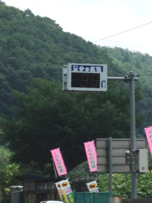 夏真っ盛り カツラ祭りで夏バテ解消_c0261447_22424379.jpg