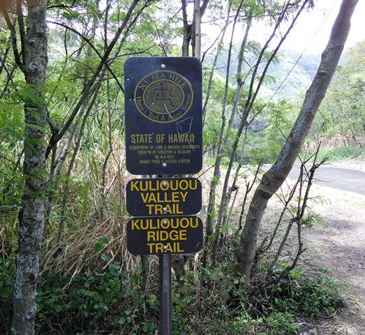 f0071647_16306.jpg