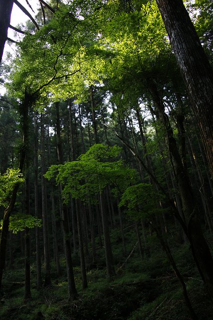 阿寺の七滝_f0288049_114082.jpg