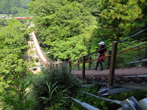 大井川吊橋巡りと奥大井湖上駅_c0294553_15163745.jpg