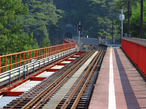 大井川吊橋巡りと奥大井湖上駅_c0294553_1582896.jpg