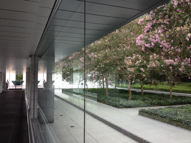 a0023466_76167.jpg