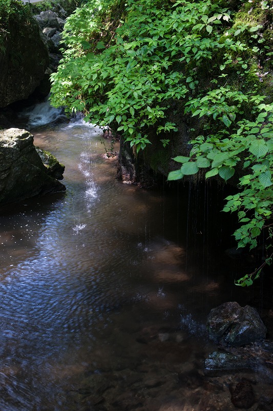 b0198768_1335268.jpg